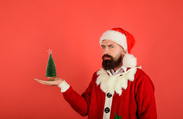 Santa Claus with little fir-tree in hand. Serious Santa Claus hold small green tree. Christmas, Winter holiday, New Year concept. Santa man holds small Christmas tree. Bearded man ready for Christmas.