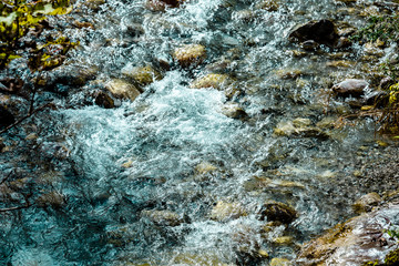 The bottom of a clear stream