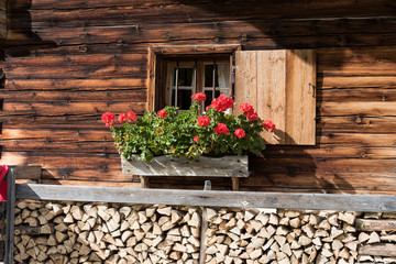 Fototapeta na wymiar Hut and window with red flowers