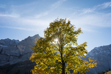 Fototapeta premium Autumn in the karwendel mountains