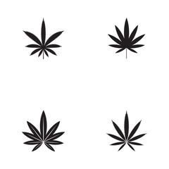 Fototapeta na wymiar set of cannabis marijuana hemp leaf logo