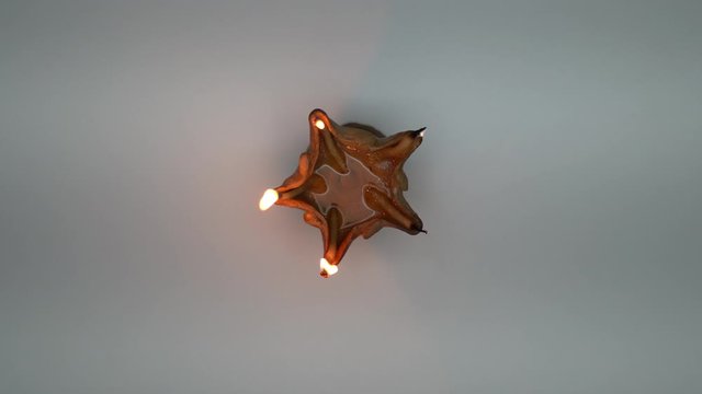 Diwali lamps for festive season . This lamp has five lights
