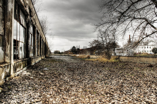 Autumn on the roof of abandoned factory