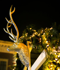 Deer on the house in Christmas decorations. Beautiful lights and illumination.