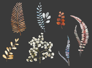 Flowers watercolor illustration.Manual composition.Big Set watercolor elements.