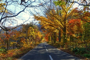 紅葉する十和田湖への道