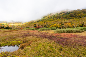 Tsugaike nature park at nagono, otari village