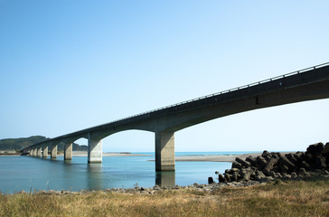 河口