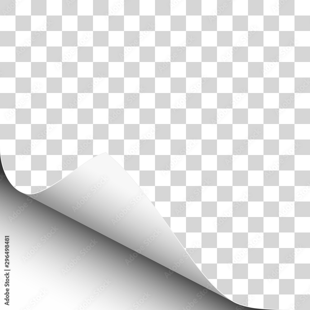 Wall mural vector lower left curl of corner of transparent sheet of paper.