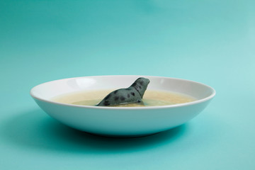 Obraz na płótnie Canvas sea lion soup