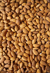 almond nut background, macro shot