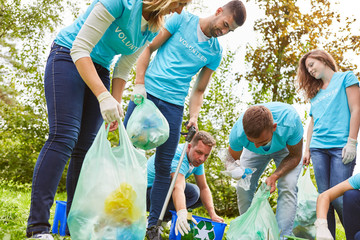 Umweltschützer sammeln Müll im Park