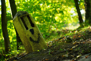 lustiges Gesicht auf einem Stein im Wald