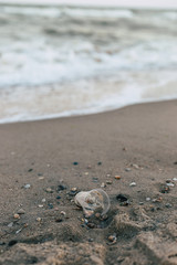 A small plastic cup on the seashore.