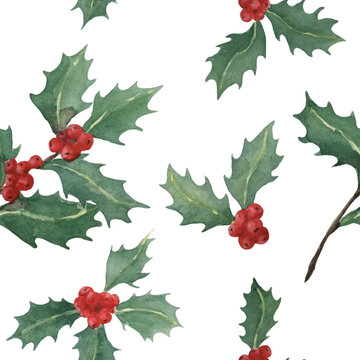 vector watercolor hand painted seamless pattern of holly branches isolated on white background, Christmas plant illustration for holyday design, textile, wrapping, wallpaper