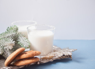 Glasses of milk, pine branch on the blue background
