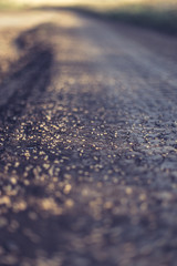 Wheat grains scattered on a dirt road