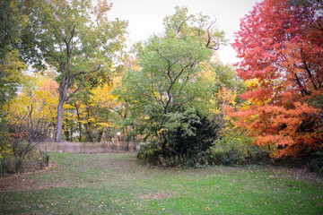 Naklejka premium Central Park