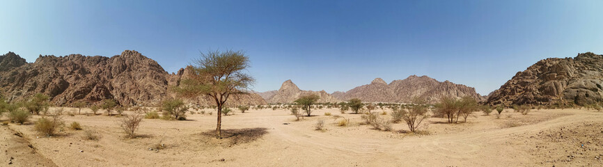 Panorama view of desert view on extreme heat weather. Travel concept