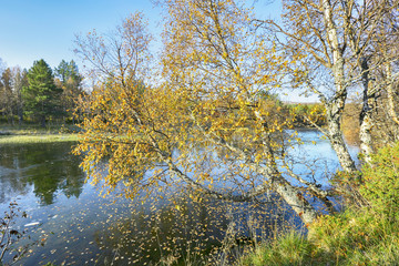 Obraz premium River Inna, Norway