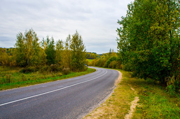 Fototapeta premium Autumn texture. Road with autumn yellow foliage.