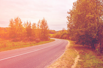 Autumn texture. Road with autumn yellow foliage.