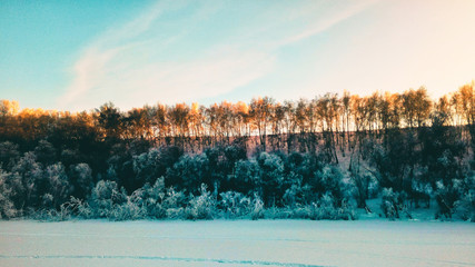 beautiful nature of Siberia, frosty clear winter and frosty blue trees