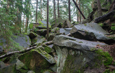 Scandinavian mountain nature with stones. Rocks in the forest with moss.