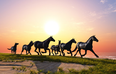 Group of horses.