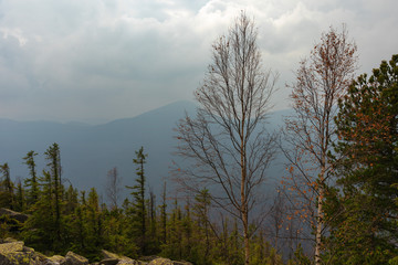 Charming autumn on mountain ranges in Ukrainian Carpathians with beautiful hiking landscapes
