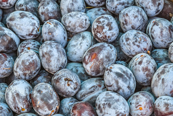 Harvest plums on the market as background