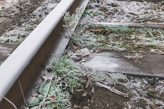 Rails in hoarfrost. Misty autumn morning.