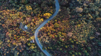 Overhead Aerial Shoot of road through colorful  forest.Shoot From air.