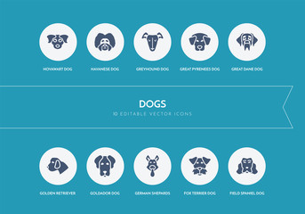 10 dogs concept blue icons