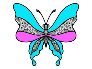 blue pink butterfly ornament decorative vector