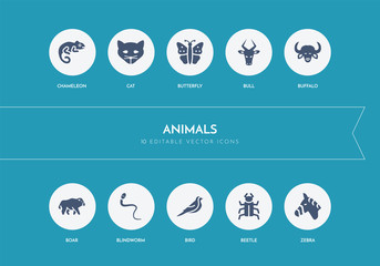 10 animals concept blue icons