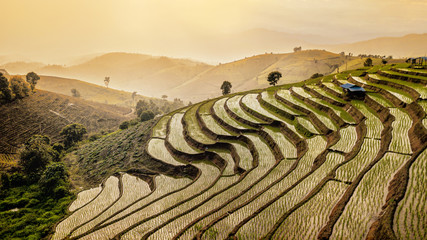 Aerial view of Rice fields on terraced of Bong Piang, Chiang Mai, Thailand. .
