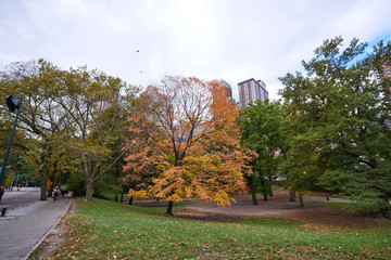 autumn in the park
