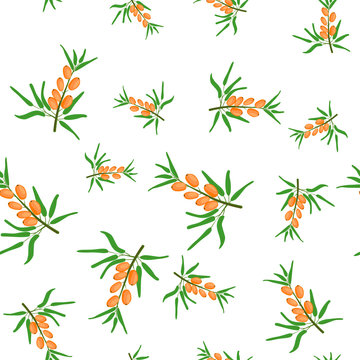 Sea buckthorn, branch with berries. Seamless pattern. Vector illustration, flat style
