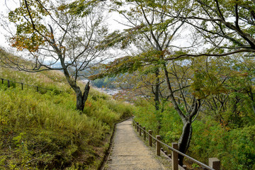 若草山　風景