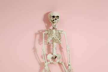 Pink skeleton