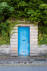 Une porte bleue entourée de plantes. Une porte métallique bleue fermée. Une vieille porte bleue.