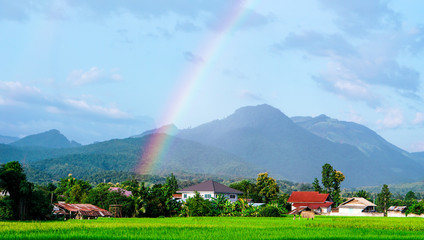 Rainbow in the rice field with views of mountains and beautiful clouds.