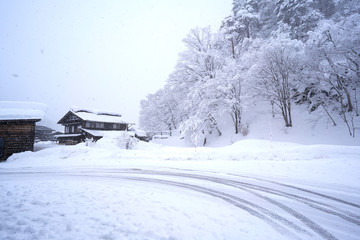 Naklejka premium Shirakawa-go Village