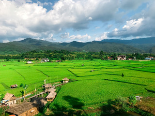 Green Rice Field with Mountains Background under Blue Sky.