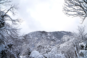 Shirakawa-go Village