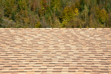 suburban house shingle roof background texture perspective surface horizon board with unfocused forest background, copy space 