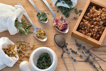 Fototapeta na wymiar Healing dried herbs in linen bags and spoons, herbal medicine, herbalism, rustic style flat lay.