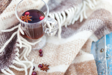 Cup of hot tea with spices,  red berries and warm blanket. Cozy winter background