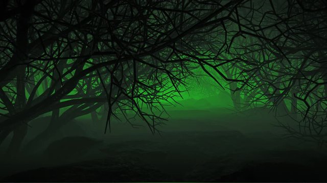 Halloween In Night Forests is motion footage for horror films and cinematic in scary scene. Also good background for scene and titles, logos.